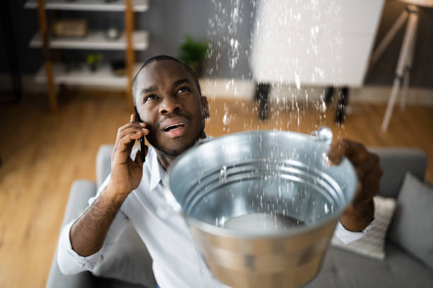 Best Carpet water damage restoration  in Purcellville, VA