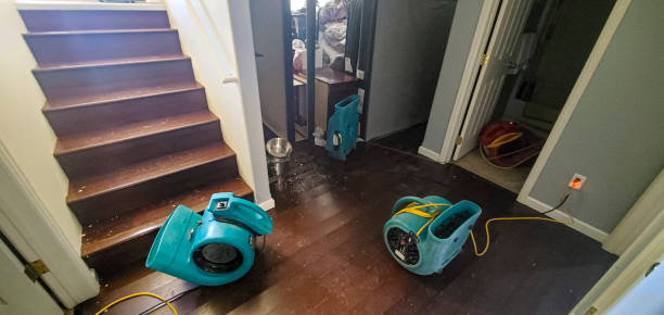 Best Flood restoration services  in Purcellville, VA