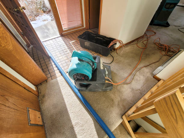 Best 24/7 water damage repair  in Purcellville, VA