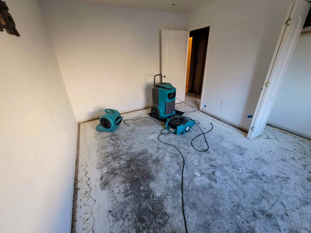 Best Water damage contractors near me  in Purcellville, VA