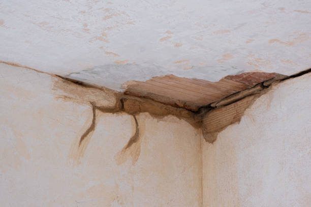 Best Mold removal after water damage  in Purcellville, VA