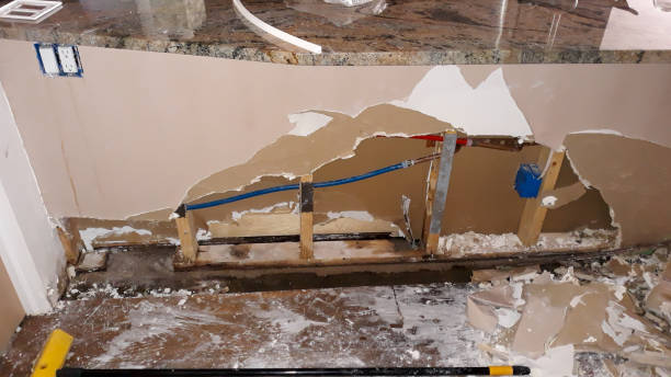 Best Professional water damage repair  in Purcellville, VA