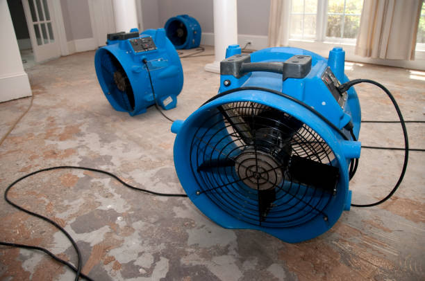 Best Water damage restoration near me  in Purcellville, VA
