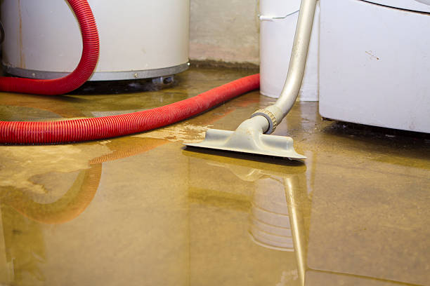  Purcellville, VA Water damage restoration Pros