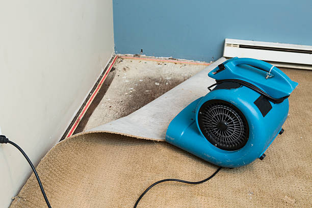 Water damage restoration insurance claims in Purcellville, VA